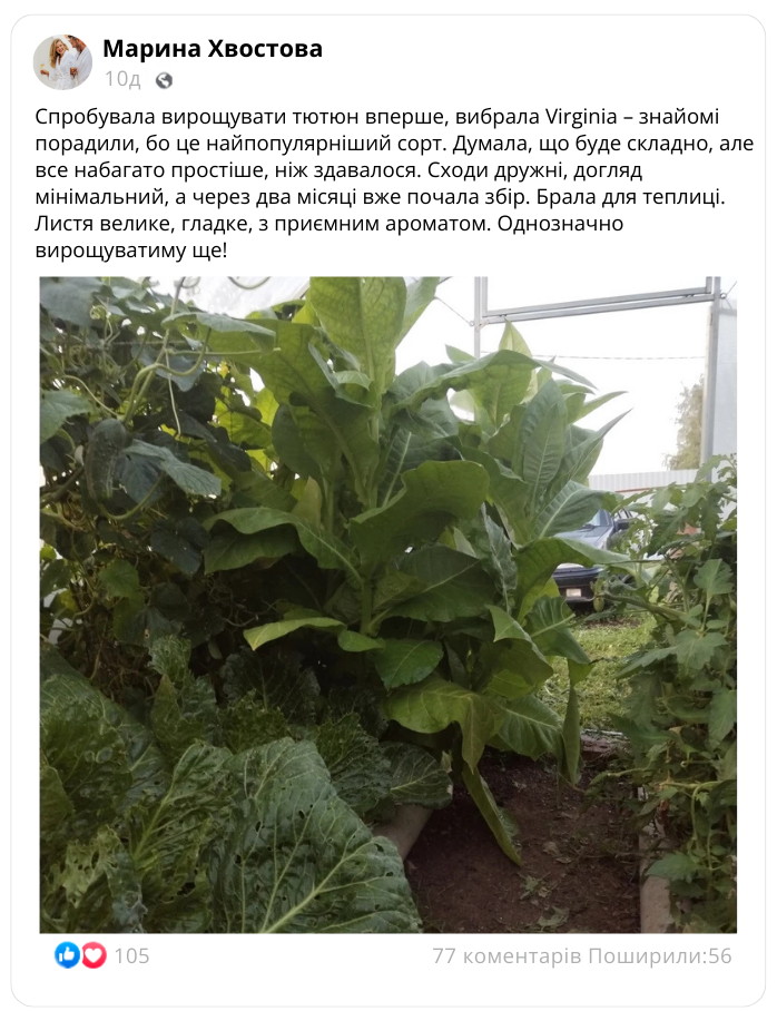Заголовок
