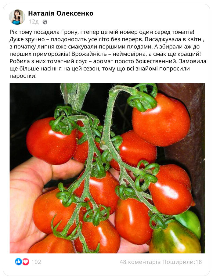 Заголовок