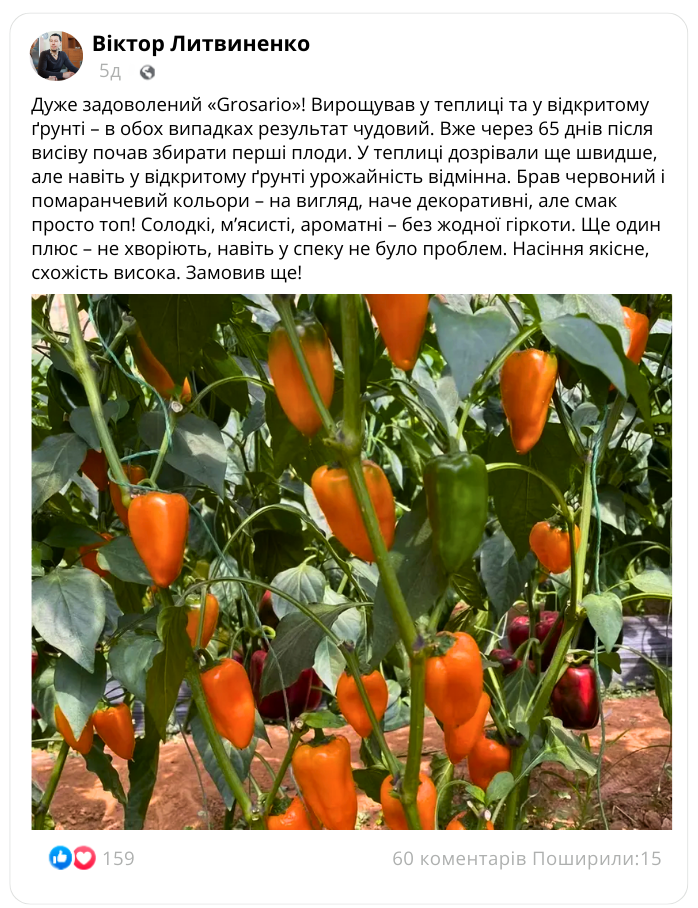 Заголовок