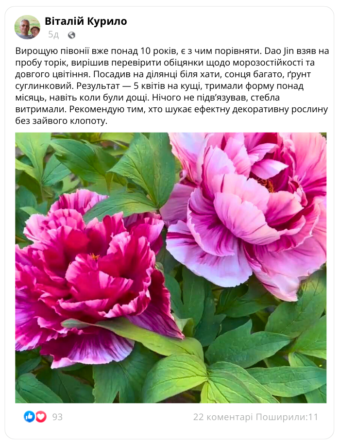 Заголовок