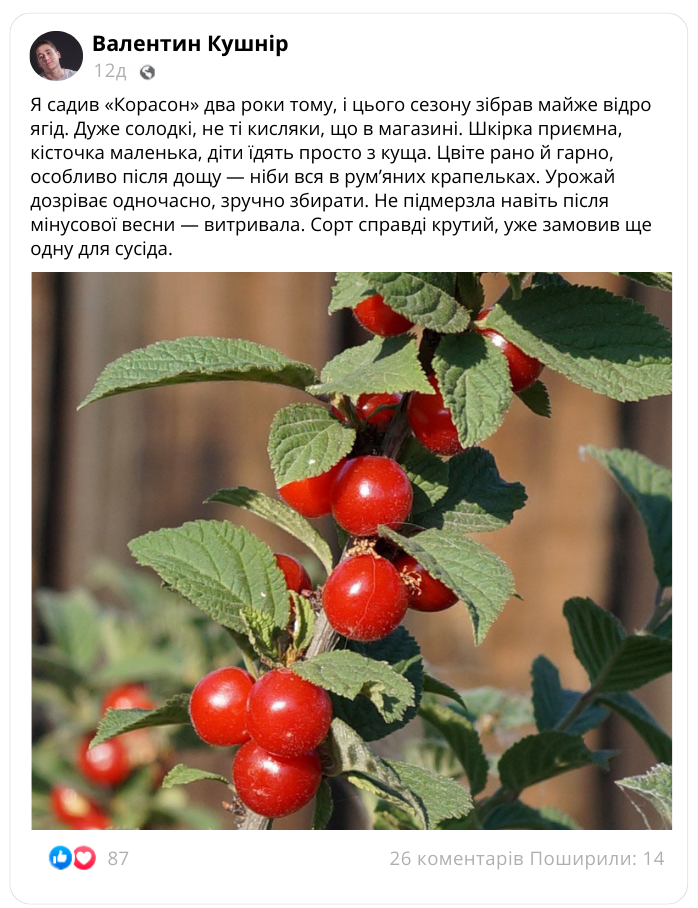 Заголовок