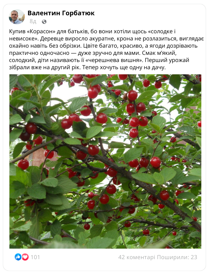 Заголовок