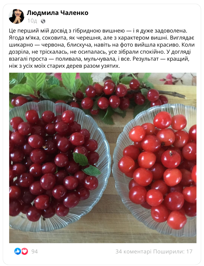 Заголовок