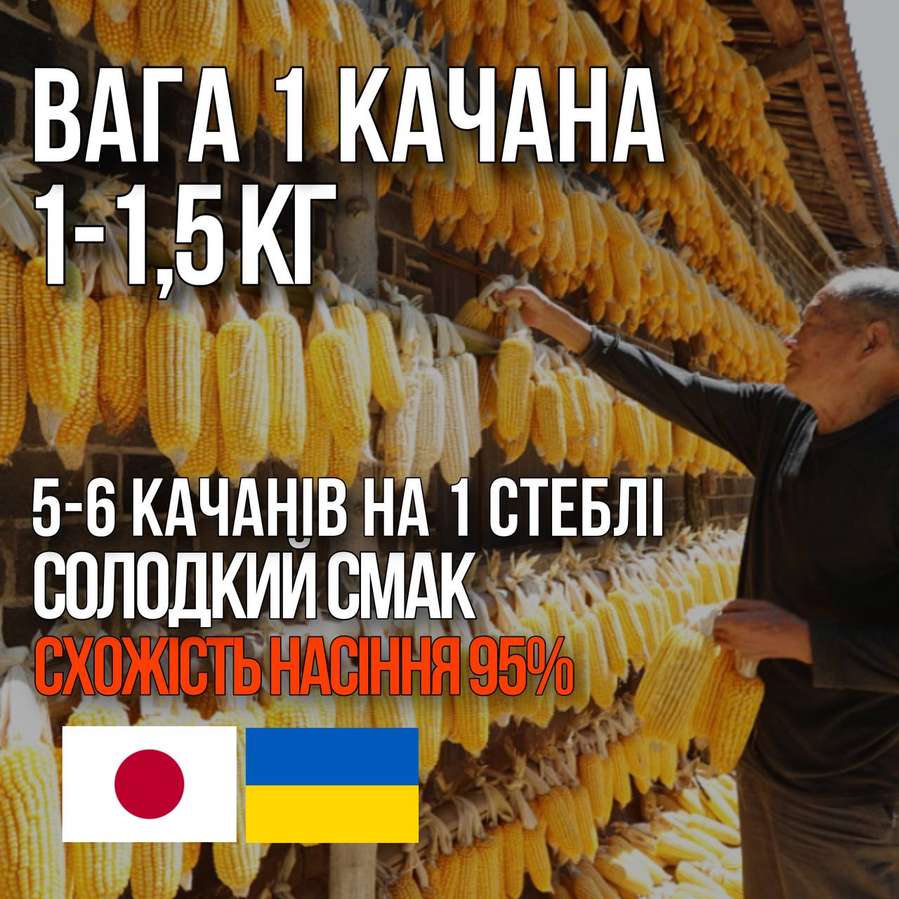 Заголовок