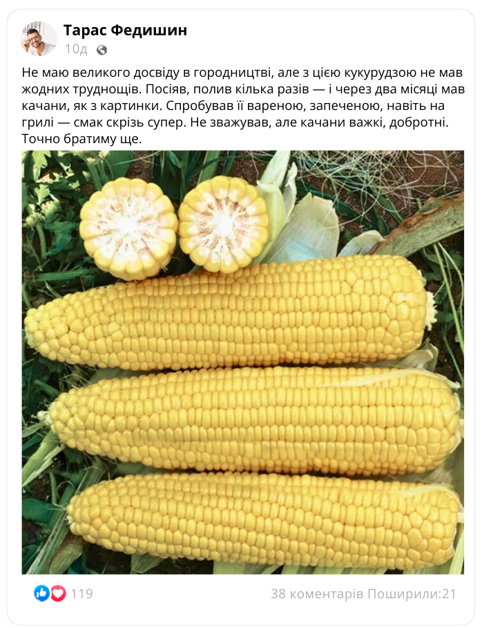 Image title
