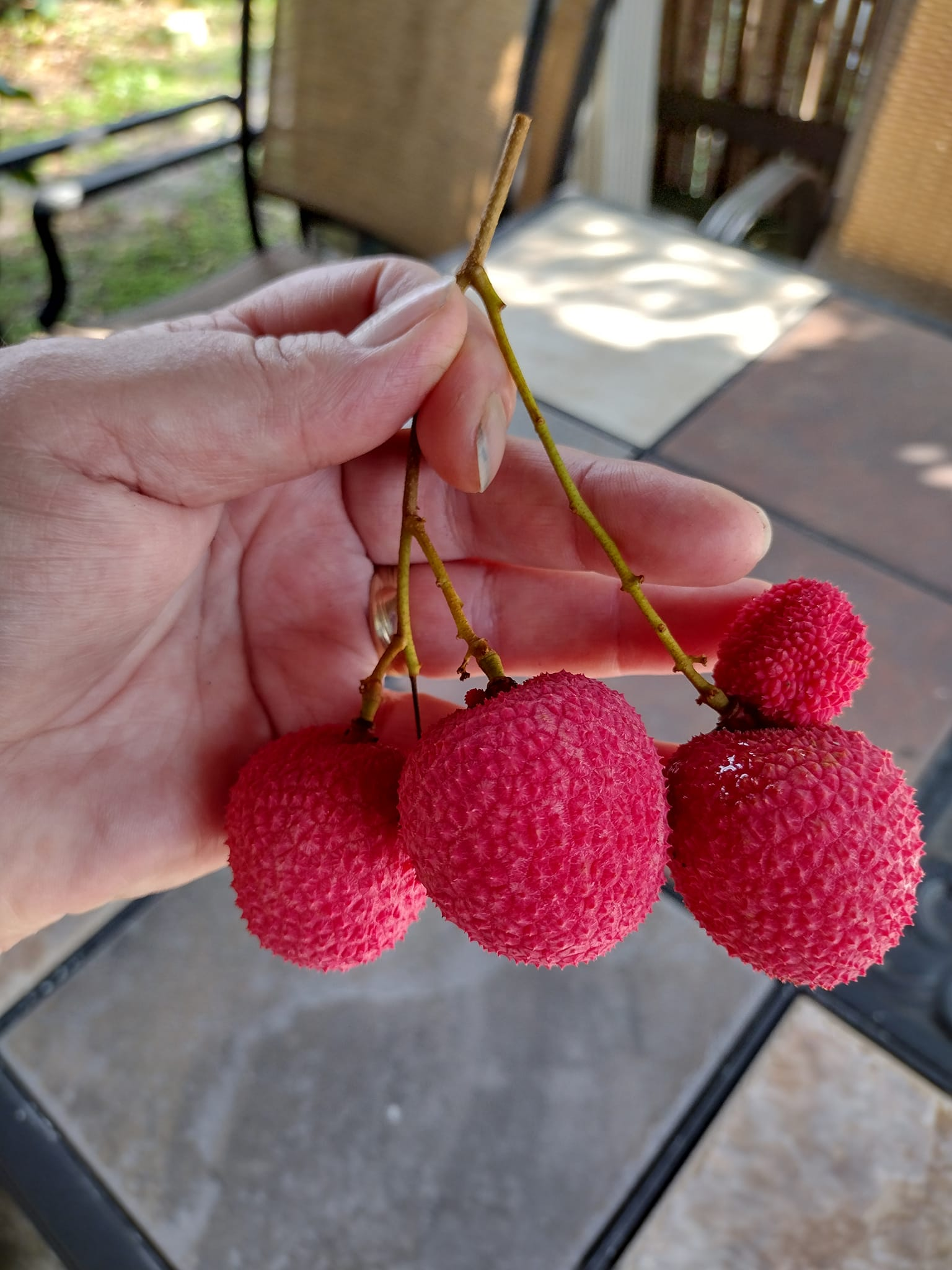 Портрет человека