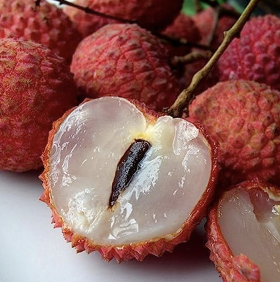 Портрет человека